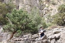 Playing in back of the tower